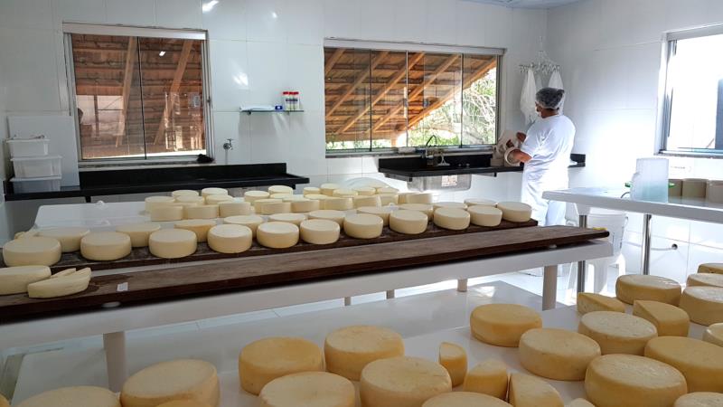 Emater-MG lança cartilha com o passo a passo das boas práticas de fabricação de queijos artesanais