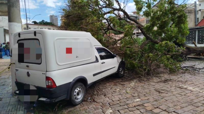 Chuvas causam transtorno e derrubam três árvores em Guaxupé 