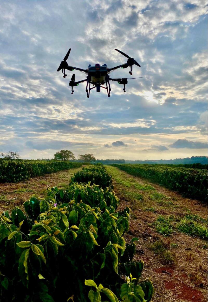 Drones como aliados da cafeicultura: Pesquisa da UFLA avalia eficiência das pulverizações feitas com o equipamento