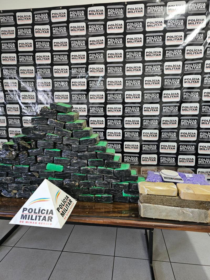 PM encontra 98 barras de maconha escondidas em terreno no Sul de Minas 