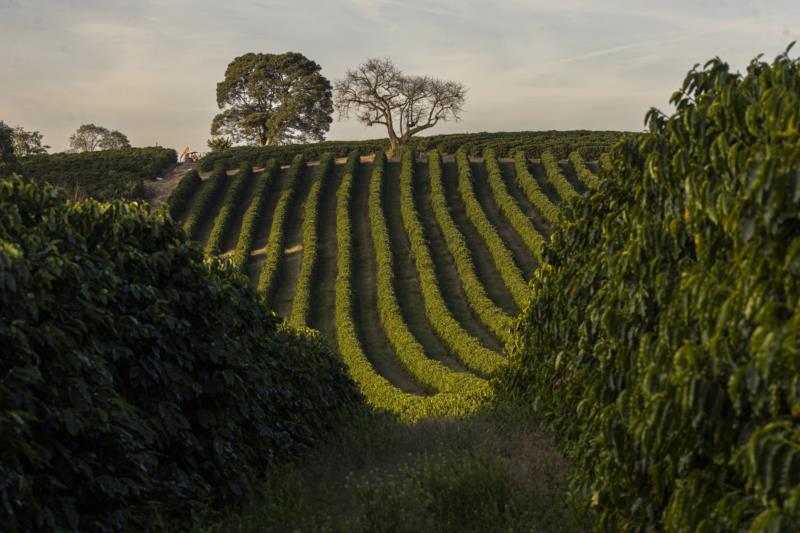 “Gerações” é reconhecido pelo Ministério da Agricultura e Pecuária