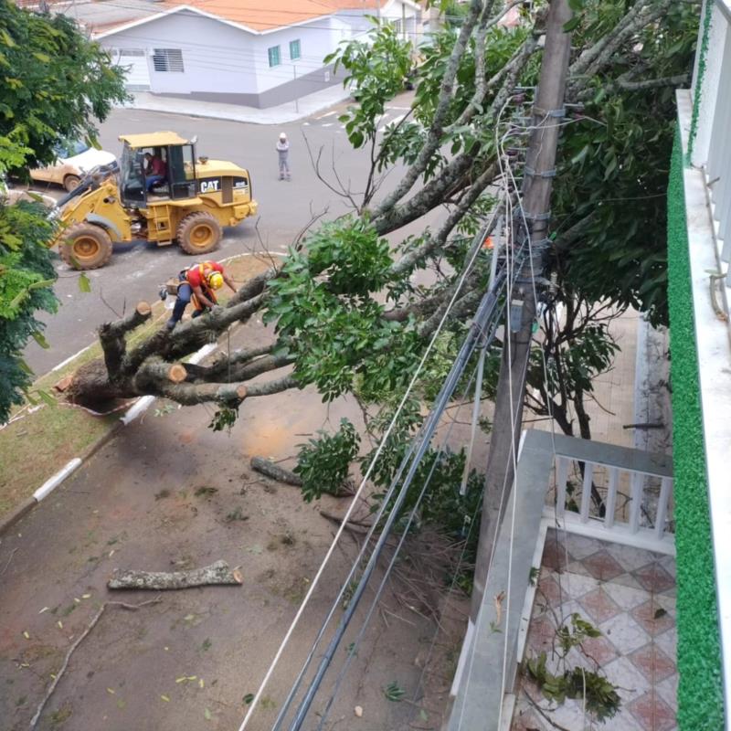 Árvore que foi derrubada pela chuva de terça-feira em Guaxupé e causou interrupção de energia começa a ser retirada pelos Bombeiros 