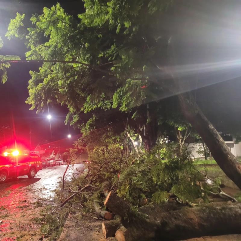 Temporal causa estragos em Guaxupé e região 